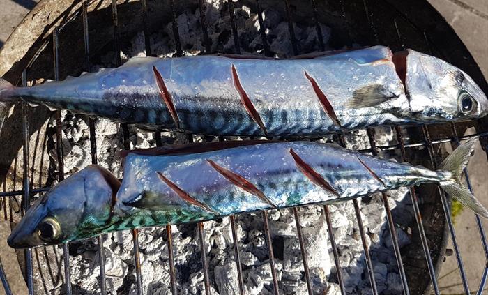 Beach BBQ after and Epic Fishing Trip